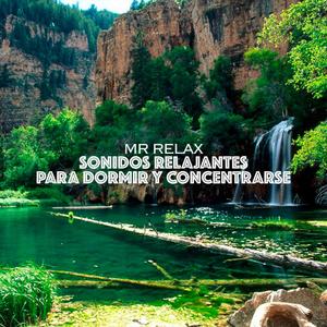 Sonidos Relajantes Para Dormir y Concentrarse Pt. 10
