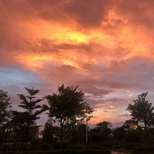 致姗姗来迟的你