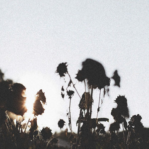 Accomplished (Slowed & Reverb|Instrumental)