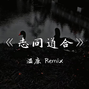 Slabiciuni (温鹿 Remix)