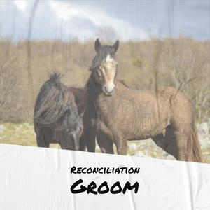 Reconciliation Groom