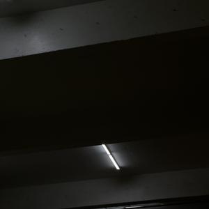 exotic (slowed +reverbed) (Explicit)