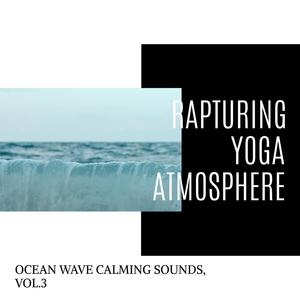 Rapturing Yoga Atmosphere - Ocean Wave Calming Sounds, Vol.3