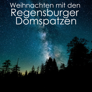 Gruber - Stille Nacht, heilige Nacht