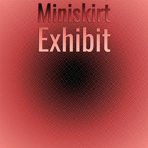 Miniskirt Exhibit