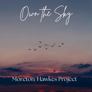 Own The Sky