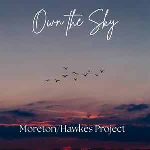 Own The Sky