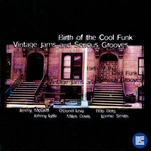 Birth of the Cool Funk - Vintage Jams and Serious Grooves, Vol. 2