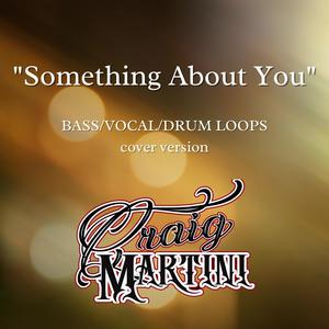 Something About You (Bass, Vocals, Drum loop version)