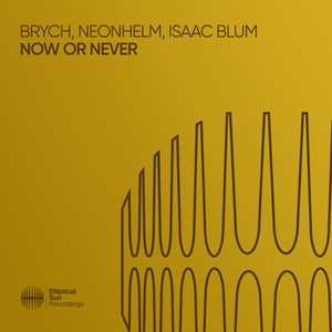 Now Or Never (Extended Mix)