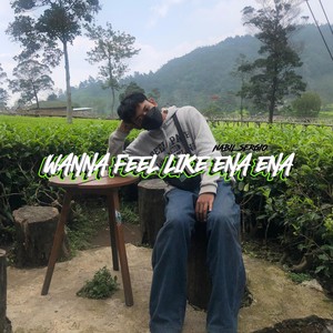 Wanna Feel Like Ena Ena