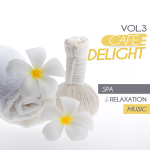 Cafe Delight, Vol. 3 - Spa and Relaxation Music