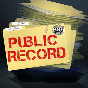 Public Record