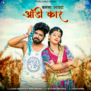 Bansa Laydo Audi Car