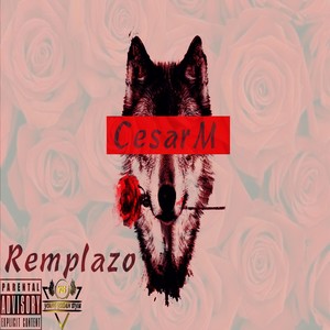 Remplazo