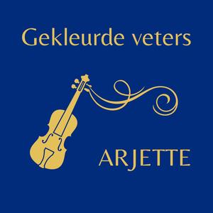 Gekleurde veters