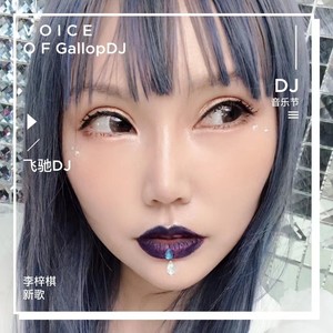 《飞驰DJ》伴奏 (伴奏)