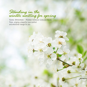 겨울에 서서 봄을 기다리다 (Stand in winter and wait for spring)