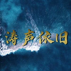 涛声依旧 (DJ散人版)