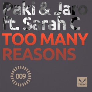 Too Many Reasons (Terrific D Remix)