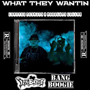 What they want(feat. Bang Boogie) (Explicit)