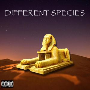 Different Species (feat. King.Bo.) (Explicit)