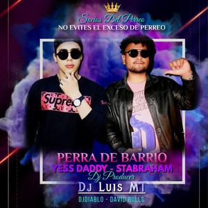 PERRA DE BARRIO (feat. stabraham, DjLuisMT, Djdiablo & David Bulls) (Explicit)