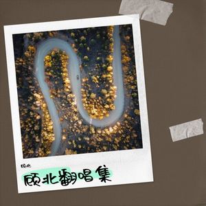 疯子傻子呆子 (Live) - 顾北（十三亿少女的梦）封面