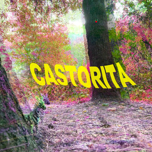 Castorita