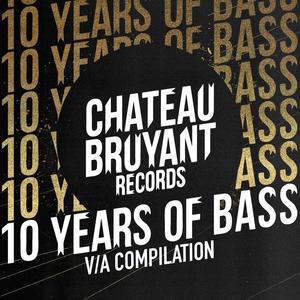 Chateau Bruyant - 10 Years Of Bass