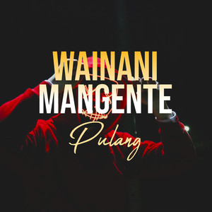 Wainani Mangente Pulang