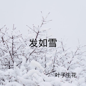 多想在平庸的生活拥抱你