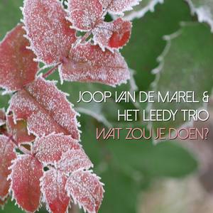 Wat Zou Je Doen?