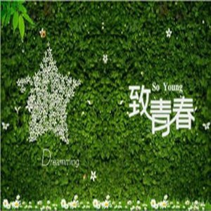 那年的时光