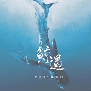 鲸遇 (Single Version)