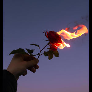 Sorgenfrei (Explicit)