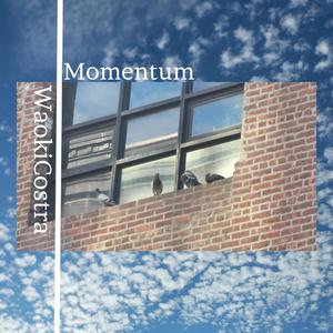 Momentum