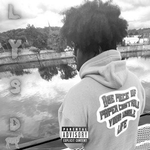 Looney ae sin - TroyRaqFatheR (Bonus) (Explicit)