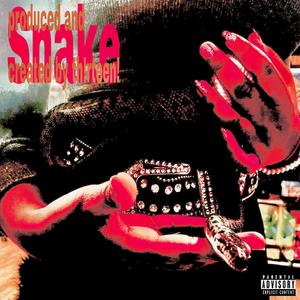 SNAKE (Explicit)