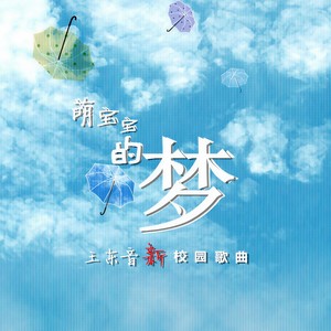 可可西里的月光