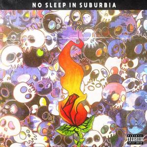 No Sleep in Suburbia (Explicit)