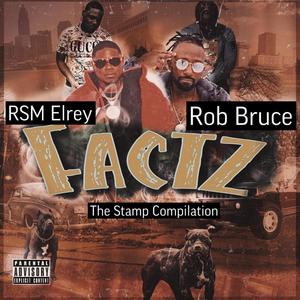 Factz (feat. RSM Elrey & Rob Bruce) [Explicit]