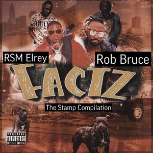 Factz (feat. RSM Elrey & Rob Bruce) (Explicit)