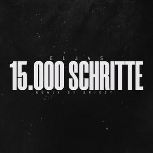 15000 Schritte (feat. BRiSSY & ELJAS) (Remix)
