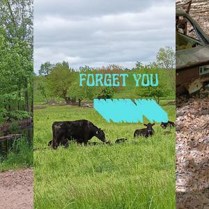 Forget You