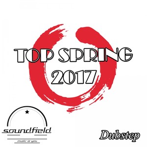 Dubstep Top Spring 2017