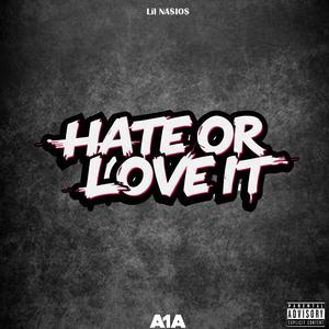 Hate Or Love It (Explicit)
