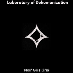 Noir Gris Gris - Laboratory of Dehumanization