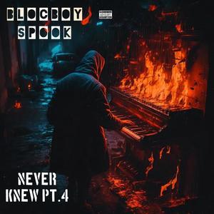 Never Knew Pt. 4 (Explicit)