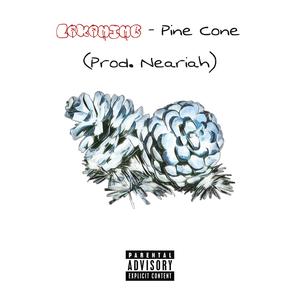 Pine Cone (Explicit)